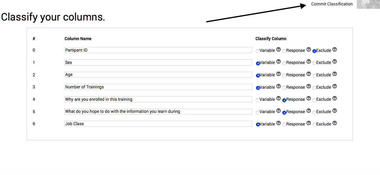 Commit your column classifications to proceed to your results