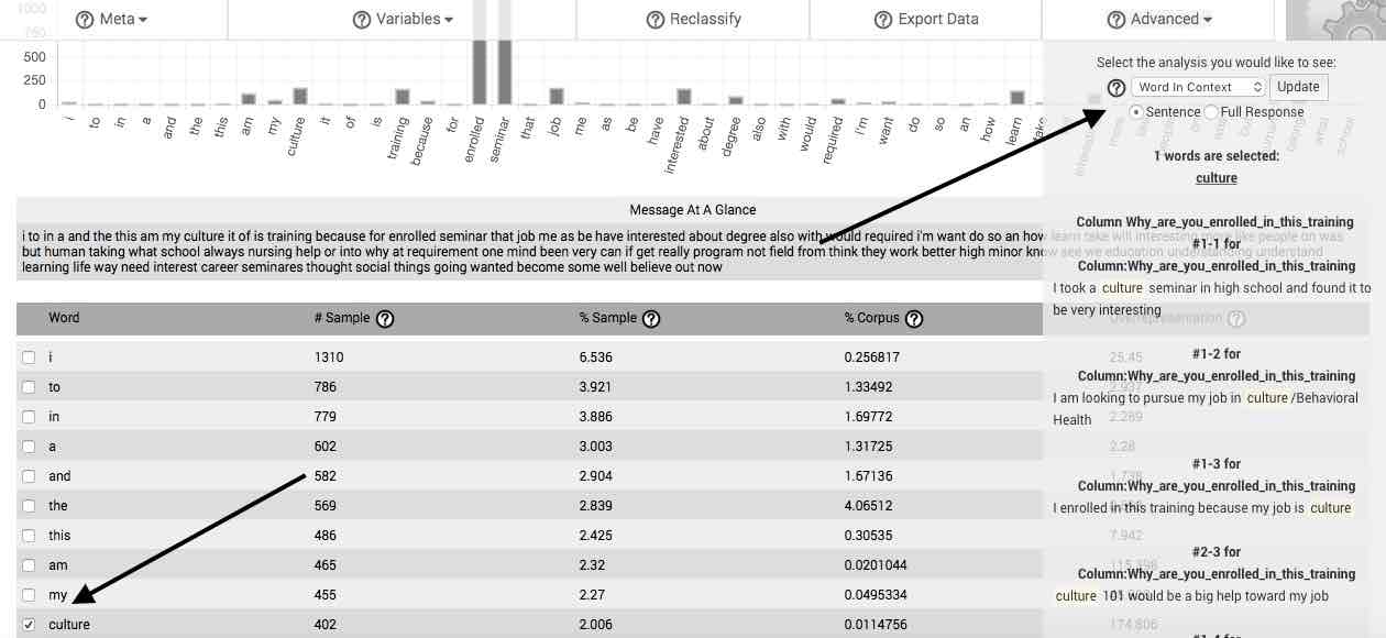 The word in context feature reveals the target word as used in the natural language data