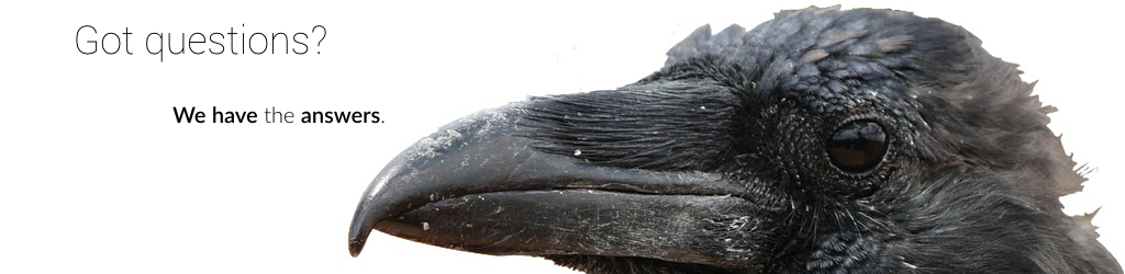 Raven's Eye describes some qualitative methods and phenomenological concepts important to its software's design and functionality